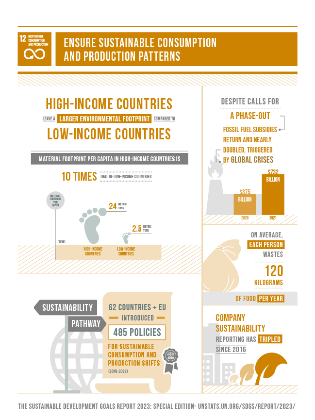 SDG_report_2023_infographics_Goal 12