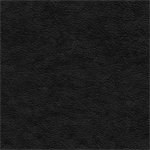 black leather
