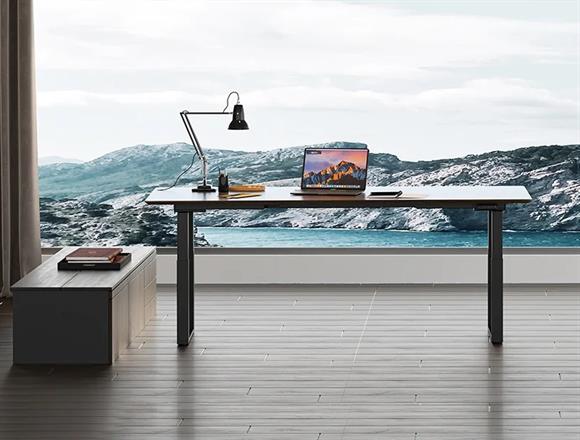 4 leg clearance standing desk