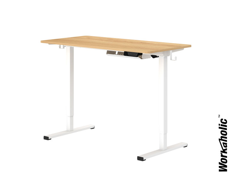 Workaholic™-WISE-Standing-Desk-Quick-Assembly-Electric-Adjustable-Desk-E150
